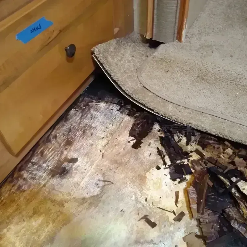 Wood Floor Water Damage in Fussels Corner, FL